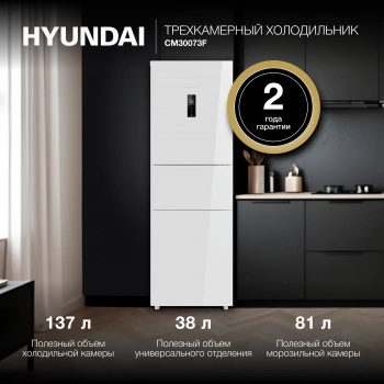 Холодильник Hyundai CM30073F