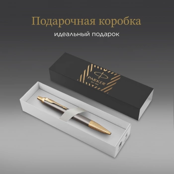 Ручка роллер Parker IM Premium Pioneers T329