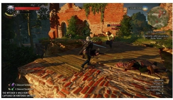 Игра для Switch Nintendo The Witcher III Wild Hunt Vanilla Edition (18+)