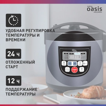 Мультиварка Oasis MC-12P