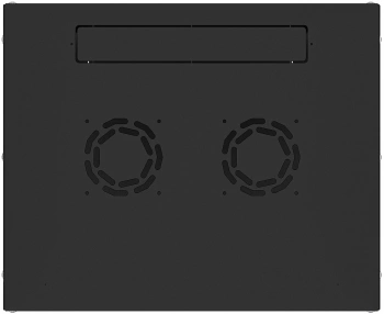 Шкаф коммутационный NTSS Lime (NTSS-WL6U5535GS-BL) настенный 6U 550x350мм пер.дв.стекл несъемн.бок.пан. 30кг черный 270мм 8.4кг 110град. 370мм IP20 сталь