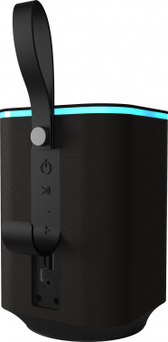 Колонка порт. Ritmix SP-340B