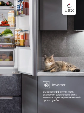 Холодильник Lex LFD424StGIDBI