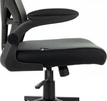 Кресло руководителя Бюрократ  Aster