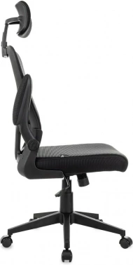 Кресло руководителя Бюрократ  Aster