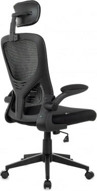 Кресло руководителя Бюрократ  Aster