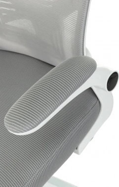 Кресло руководителя Бюрократ  Aster