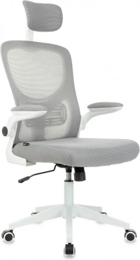 Кресло руководителя Бюрократ  Aster