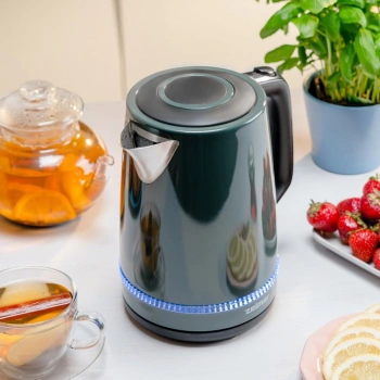 Чайник электрический Zelmer ZCK7921G