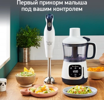 Блендер стационарный Moulinex DD55W110