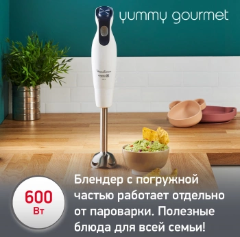 Блендер стационарный Moulinex DD55W110