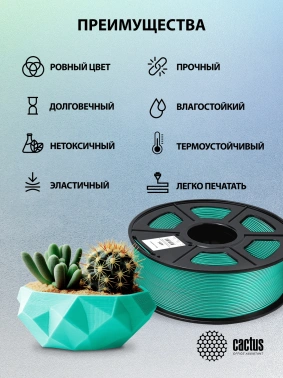Пластик для принтера 3D Cactus CS-3D-ABS-1KG-DARKGN