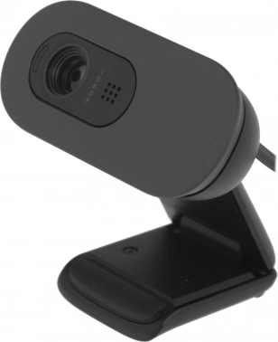 Камера Web Logitech HD Webcam Brio 105