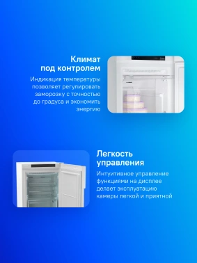 Морозильная камера Indesit DFZ 4150