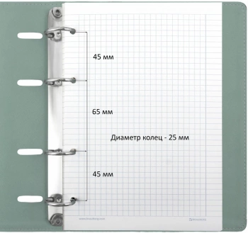 Тетрадь на кольцах Brauberg 129993 120л. клет. A5 экокожа кольца