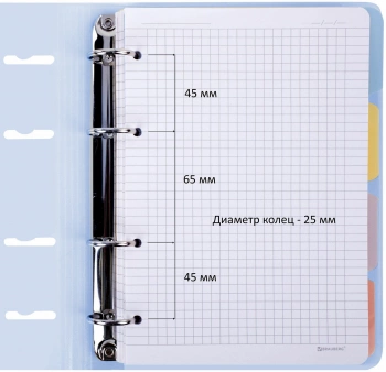 Тетрадь на кольцах Brauberg 404633 120л. клет. A5 пластик кольца