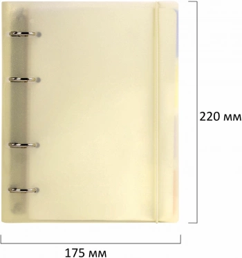 Тетрадь на кольцах Brauberg 404631 120л. клет. A5 пластик кольца