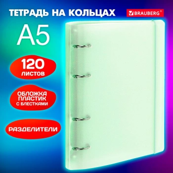 Тетрадь на кольцах Brauberg 404632 120л. клет. A5 пластик кольца