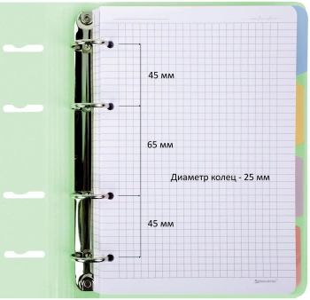 Тетрадь на кольцах Brauberg 404632 120л. клет. A5 пластик кольца