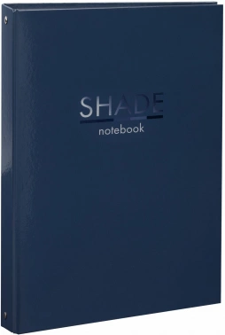 Тетрадь на кольцах Brauberg 404102 100л. клет. A4 картон глянц.ламин. кольца