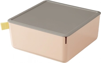 Короб для хранения Deli XDM11pink
