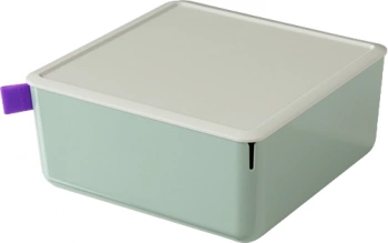 Короб для хранения Deli XDM11green