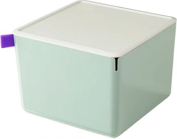 Короб для хранения Deli XDM13green
