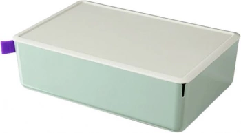 Короб для хранения Deli XDM12green
