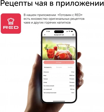 Чайник электрический Red Solution RK-M172