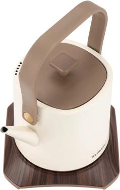 Чайник электрический Hyundai HYK-S2043