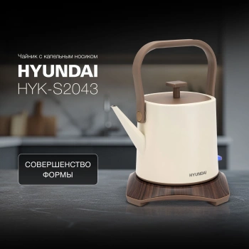 Чайник электрический Hyundai HYK-S2043