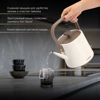 Чайник электрический Hyundai HYK-S2043