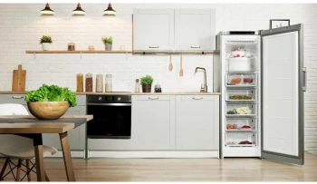 Морозильная камера Indesit DFZ 5175 G