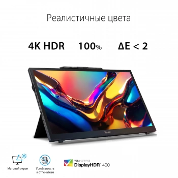 Монитор Asus 15.6