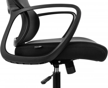 Кресло руководителя Бюрократ  Wise