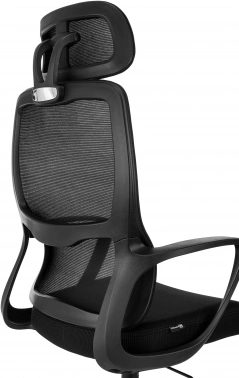 Кресло руководителя Бюрократ  Wise