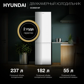 Холодильник Hyundai CC30021AF