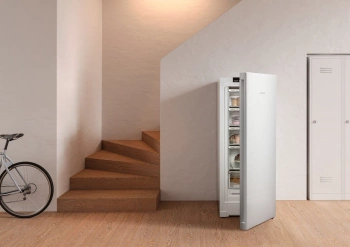 Морозильная камера Liebherr FNe 4605 FrostProtect