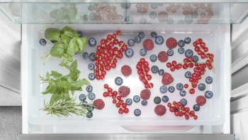 Freezer Liebherr  SIFNSe 5128