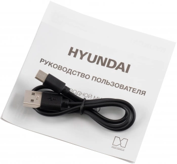Микрофон беспроводной Hyundai H-MIC100