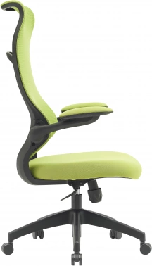 Кресло Cactus  CS-MC505-GN