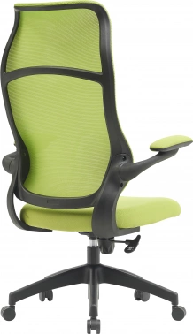 Кресло Cactus  CS-MC505-GN