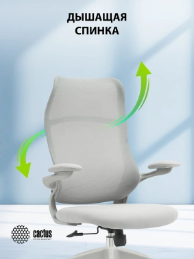 Кресло Cactus  CS-GMC505-GY