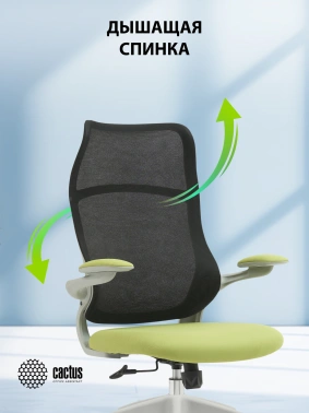 Кресло Cactus  CS-GMC505-BKGY
