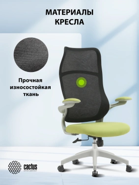 Кресло Cactus  CS-GMC505-BKGY