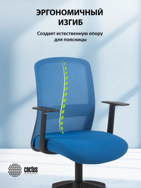 Кресло Cactus  CS-MC333-BL