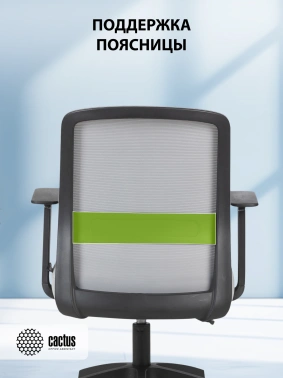 Кресло Cactus  CS-MC333-GY