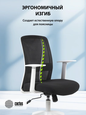 Кресло Cactus  CS-WMC333-BK