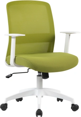 Кресло Cactus  CS-WMC333-GN