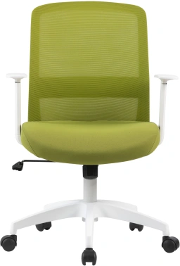 Кресло Cactus  CS-WMC333-GN